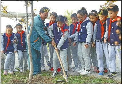 长清区小学最新动态报道